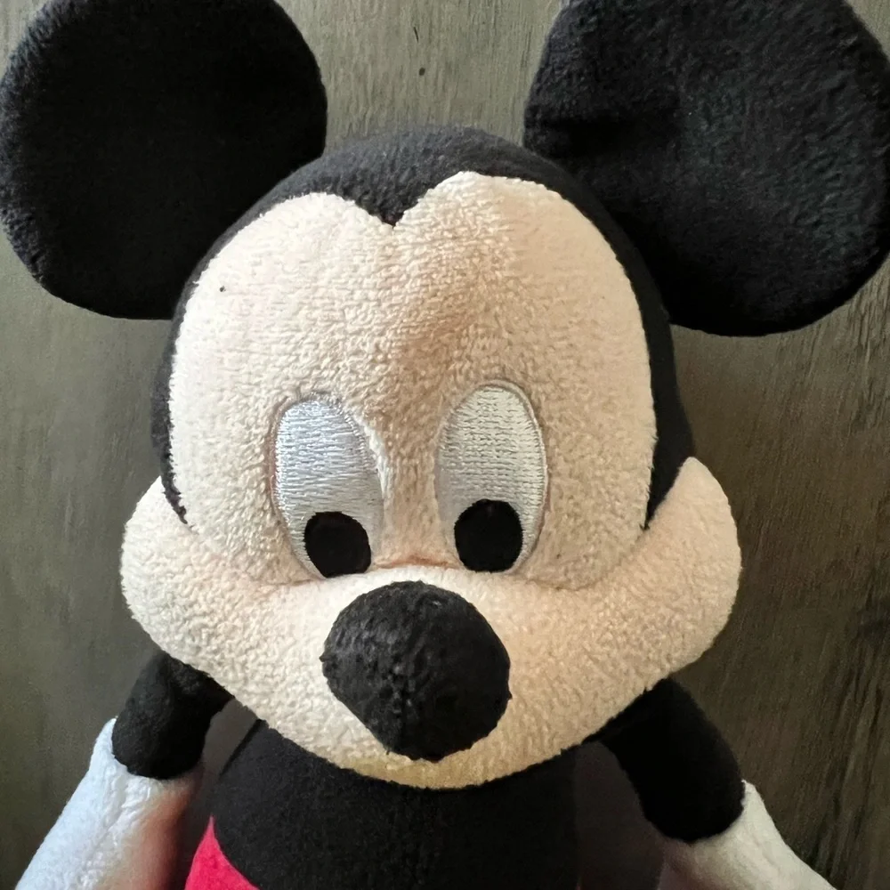 Disney bring home